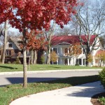 Ready for a walk in Westhaven in Franklin TN?